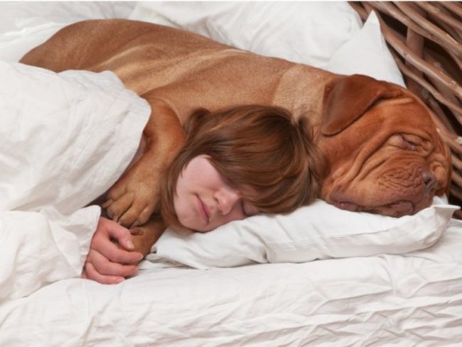 12 Regole per un sonno di qualità copertina