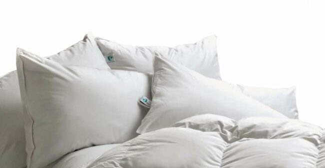 immagine copertina guanciali cinelli