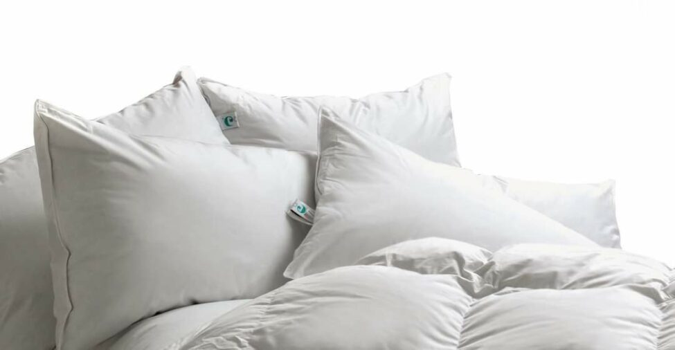 immagine copertina guanciali cinelli