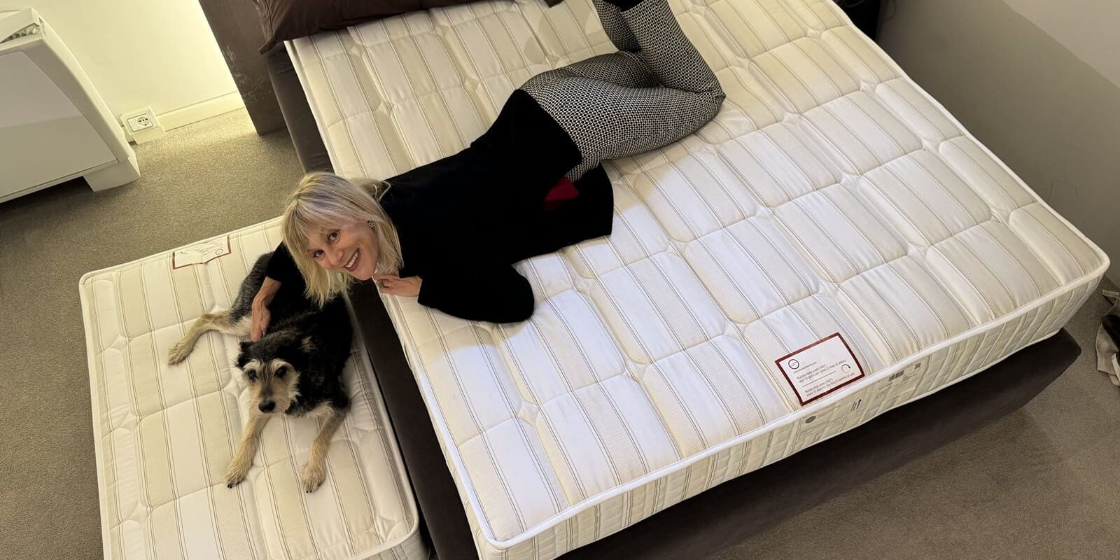 Come dorme il tuo cane Come dorme il tuo cane copertina