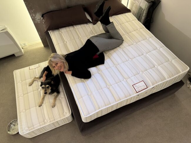 Come dorme il tuo cane copertina