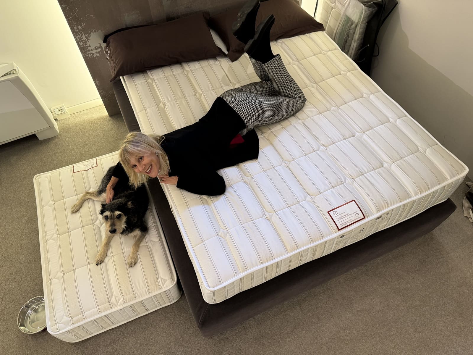 Come dorme il tuo cane copertina