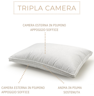 Guanciale anima info ok