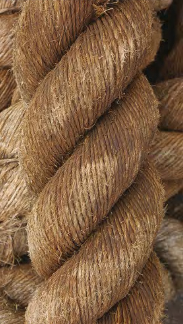 Guanciale lino img 1