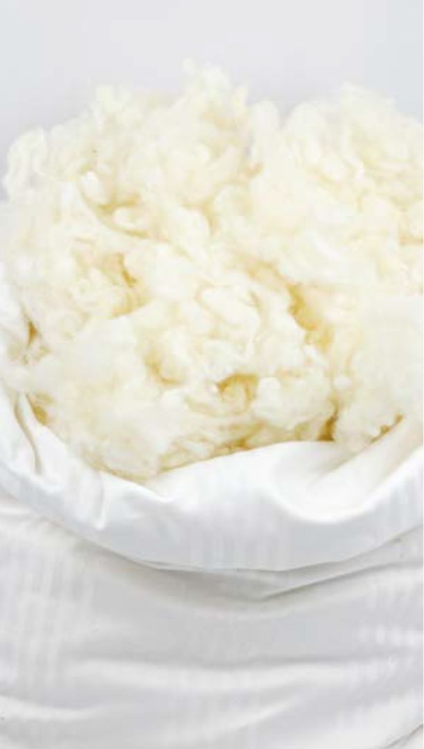 Guanciale pura LANA img 1