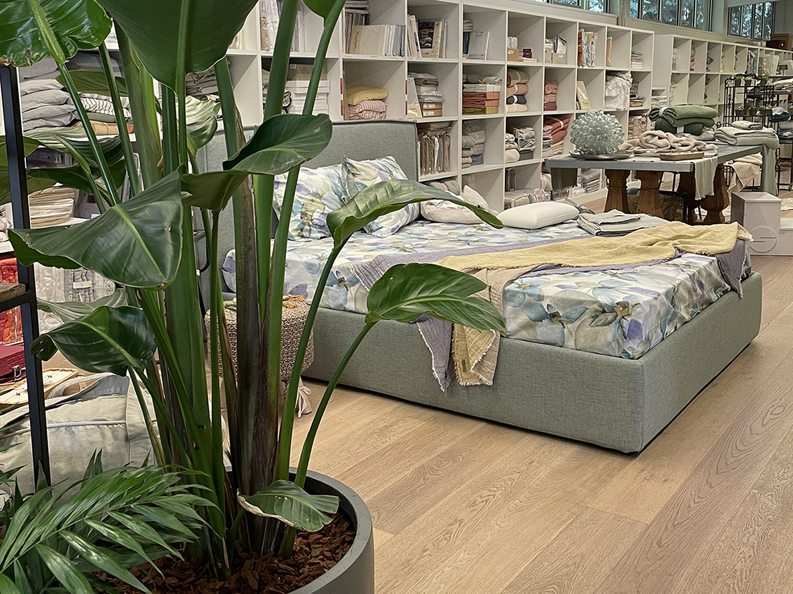 showroom