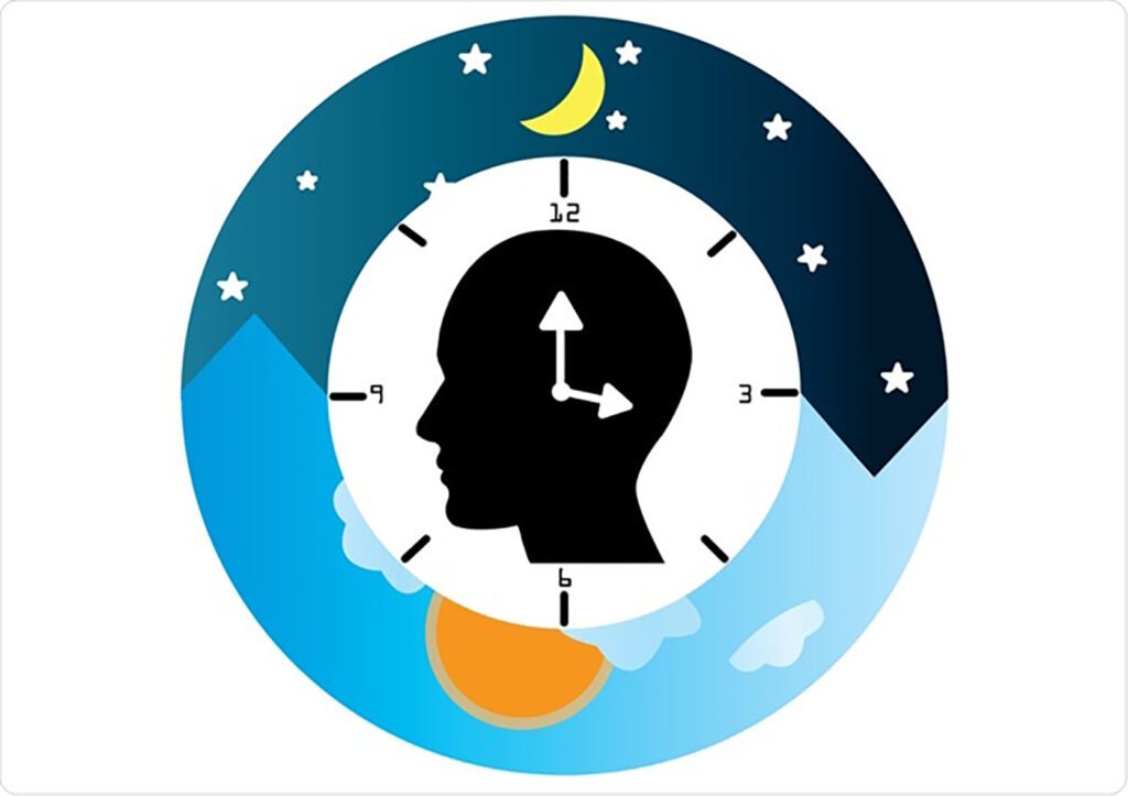 ciclo-circadiano